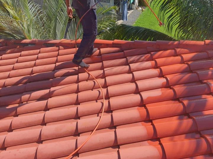 Service de lessivage haute pression anticryptogamique Martinique