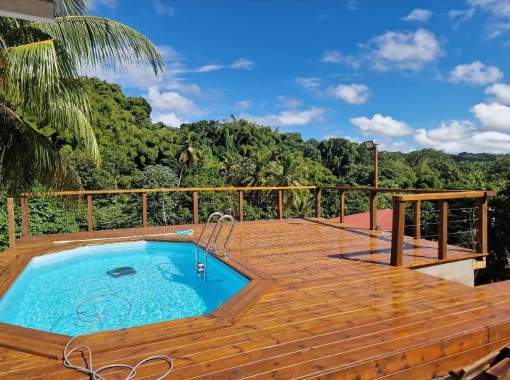 Rénovation de piscine Martinique