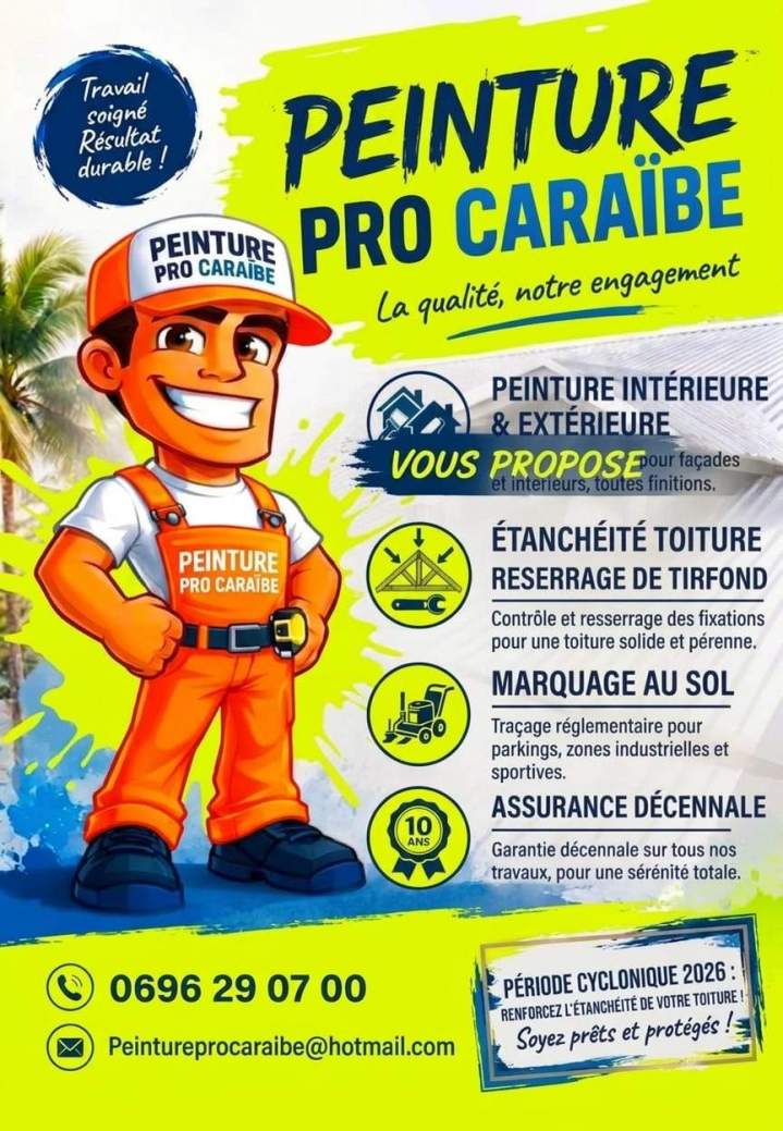 pro peinture